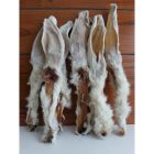 Szárított Szőrös Nyúlfül - 125 g, Teomann 