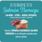 FORPETS - Salmón Noruego (NORVÉG LAZAC és TONHAL) - 15 kg