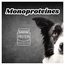 Monoproteines