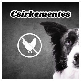 Csirkementes