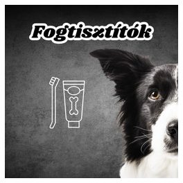 Fogtisztítók